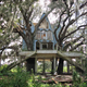 Illustration for article titled This abandoned playhouse was once an elaborate treehouse mansion